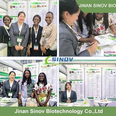 Jinan Sinov Biotechnology Co., Ltd. Tau ua ib qho kev ua tau zoo ntawm Rooj s...